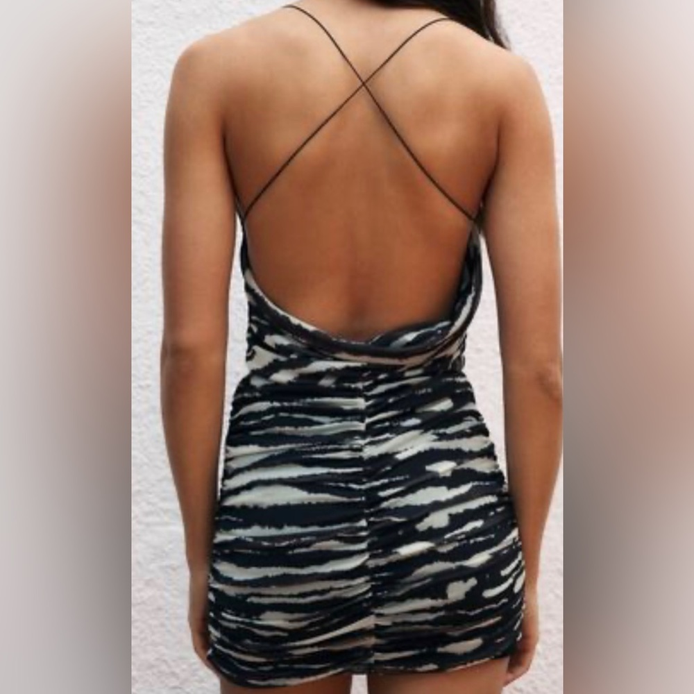Zara Zebra Mesh Tulle Cowl Neck Backless Top and Skirt Outfit Set